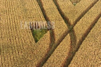 EA311513, Eastpress, Askola, Finland